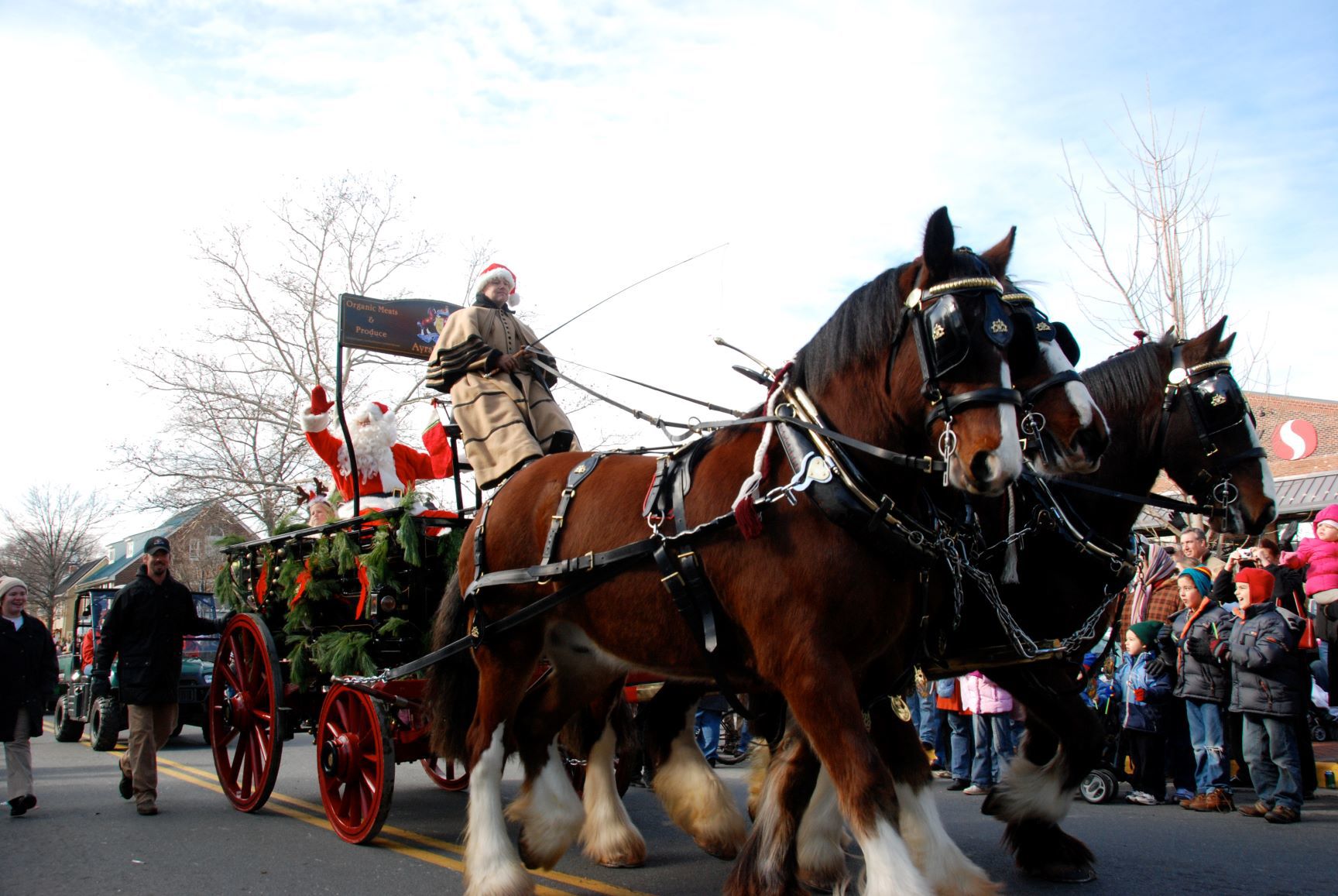 Photo_Middleburg_Ayreshires_Santa2 (003).JPG
